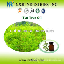 Reliable supplier Tea Tree Oil